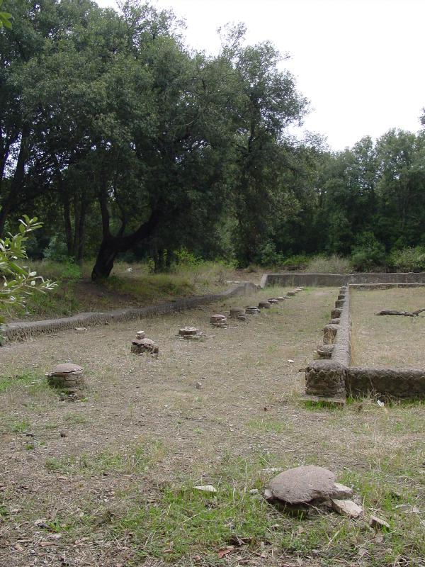 Ostia: la Villa di Plinio e la Via Severiana